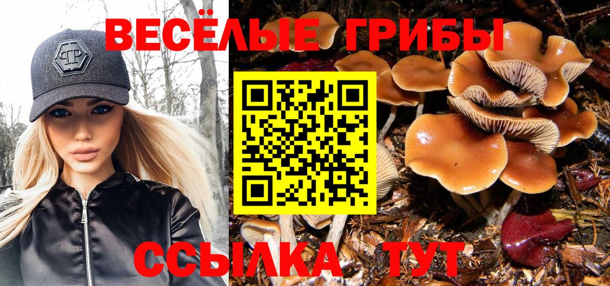 Кропоткин  Галлюциногенные грибы GOLDEN TEACHER  Вход с VPN 